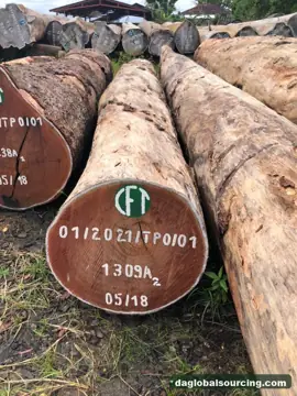 Tali (Ironwood) Logs Wanted - Vietnam Monthly Buyer — Cameroon