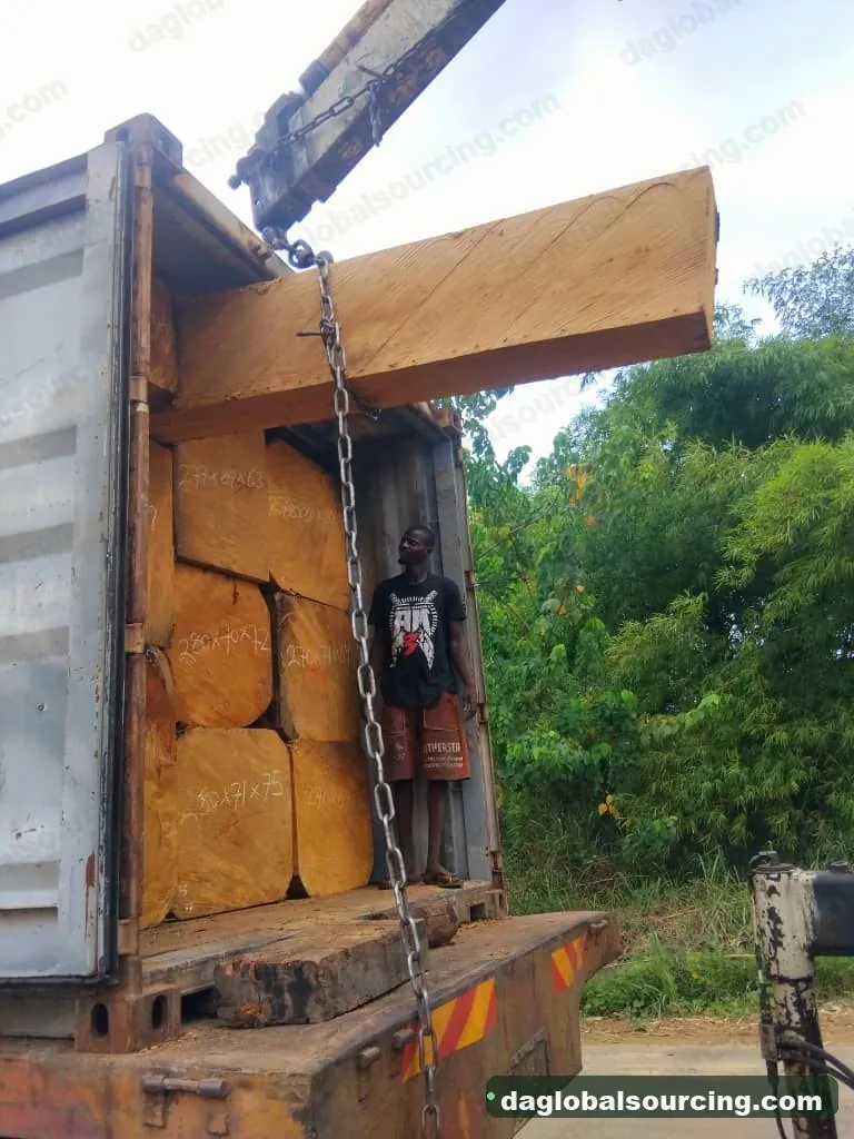 Bilinga squared from Congo — goods a Vietnam buyer wants