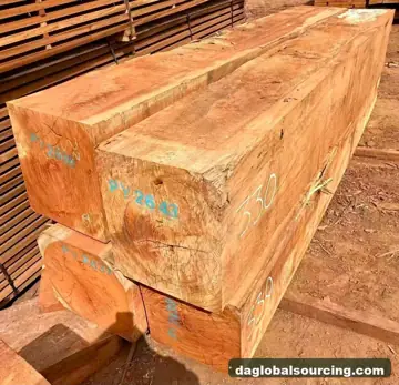 Vietnam Buyer Needs Doussie (Afzelia) Squared Wood From Central African Republic