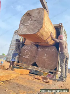 Vietnam Buyer Needs Iroko Logs From Nigeria