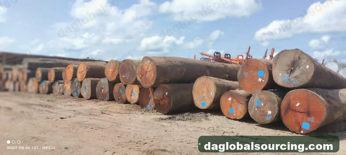 Mkb logs from Suriname — goods a Vietnam buyer wants