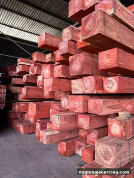 Vietnam Buyer Needs Padouk Squared Wood From Congo