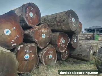 Vietnam Buyer Needs Tali (Ironwood) Logs From Cameroon
