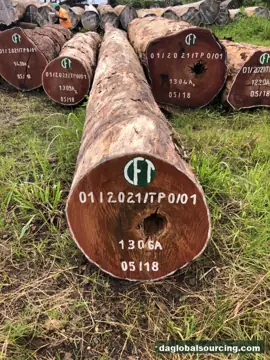 Vietnam Buyer Needs Tali (Ironwood) Logs From Congo