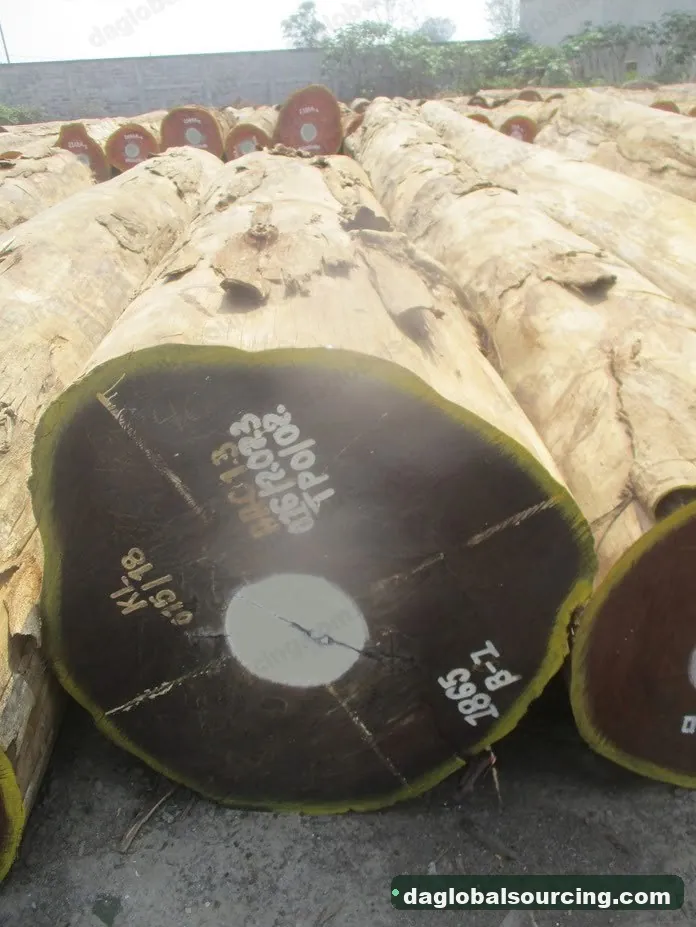 Aformosia logs from Congo — goods a Vietnam buyer wants