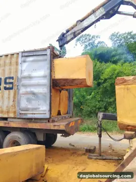 Bilinga from Congo — real goods photo 2
