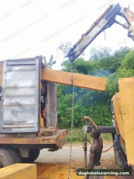 Bilinga from Congo — real goods photo 3