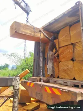Vietnam Company Buys Bilinga Squared Wood From Congo