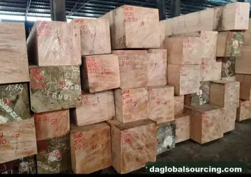 Vietnam Company Buys Bosse Squared Wood From Central African Republic
