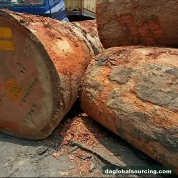 Vietnam Company Buys Doussie (Afzelia) Logs From Cameroon