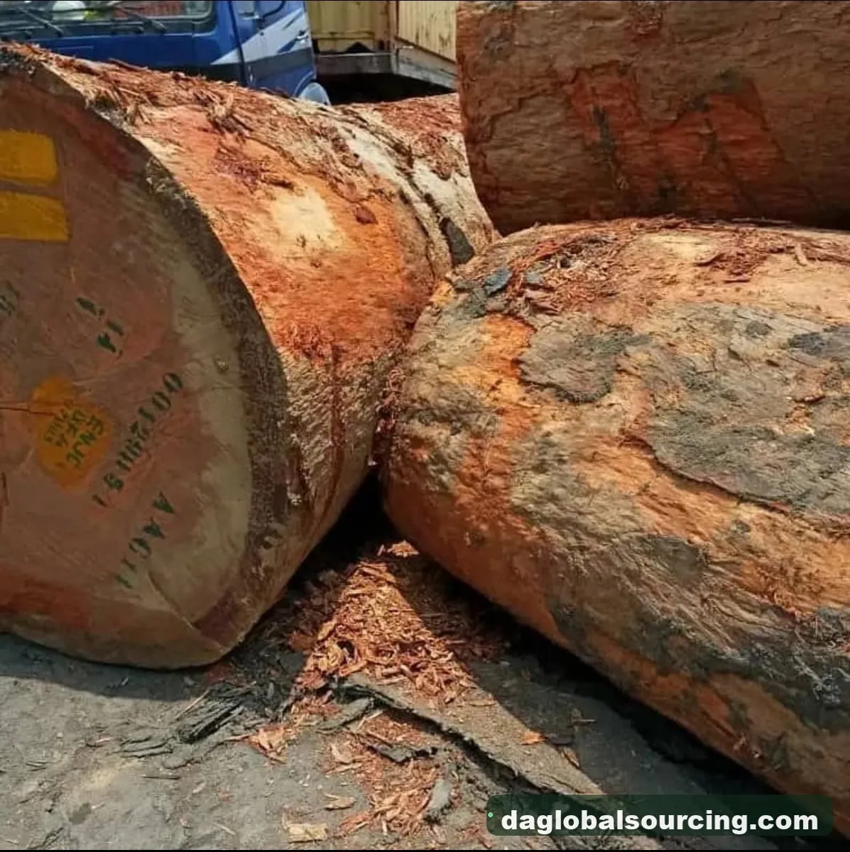 Doussie (Afzelia) logs from Cameroon — goods a Vietnam buyer wants