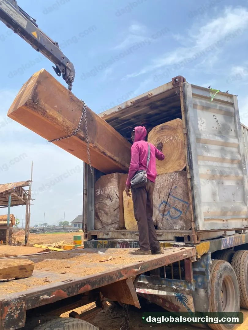 Iroko logs from Cameroon — goods a Vietnam buyer wants