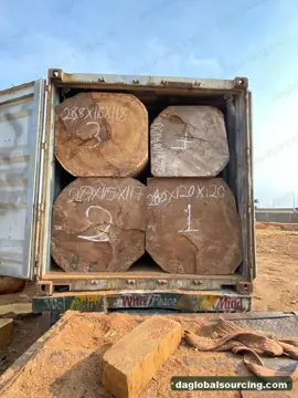 Vietnam Company Buys Iroko Squared Wood From Congo