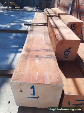 Jatoba from Bolivia — real goods photo 2