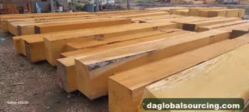 Vietnam Company Buys Mashonate (Murure) Squared Wood From Bolivia