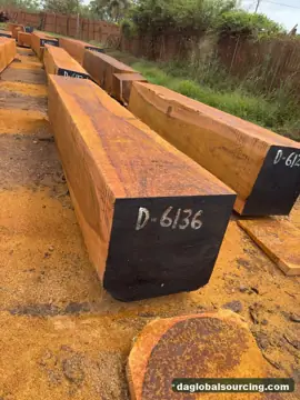 Vietnam Company Buys Okan (Denya) Squared Wood From Central African Republic