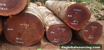 Vietnam Company Buys Sapelli (Sapele) Logs From Cameroon