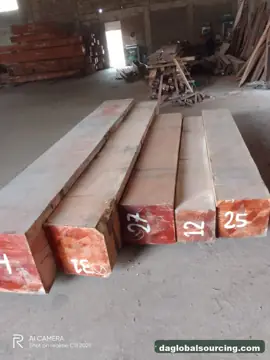 Vietnam Company Buys Sirari Squared Wood From Bolivia