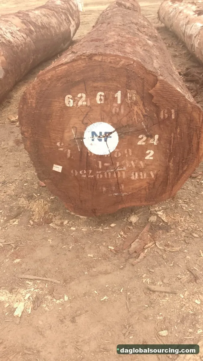 Tali (Ironwood) logs from Cameroon — goods a Vietnam buyer wants