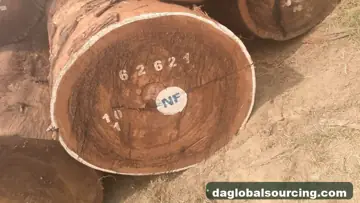 Vietnam Company Buys Tali (Ironwood) Logs From Congo