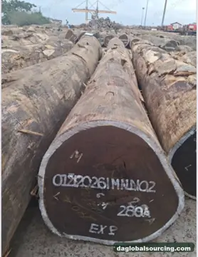 Vietnam Company Buys Wenge Logs From Congo