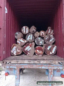 Wpl from Suriname — real goods photo 2