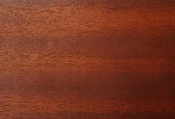 We Buy Bilinga Sawn Timber — Nigeria