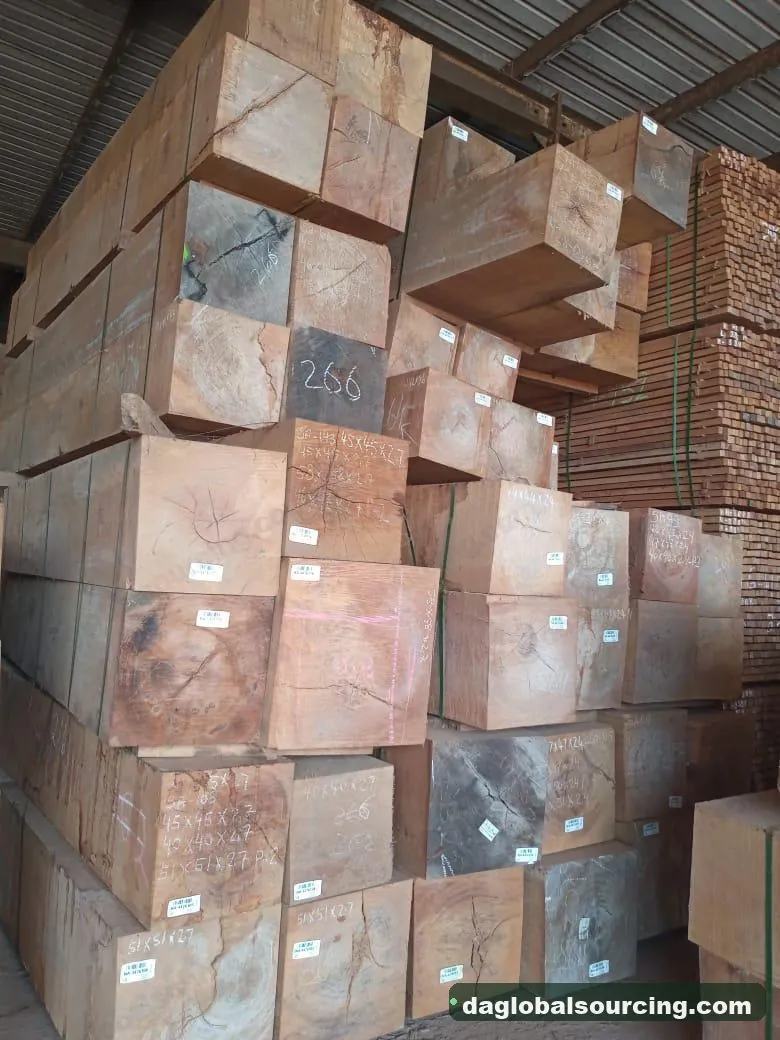 Darina logs from Guyana — goods a Vietnam buyer wants
