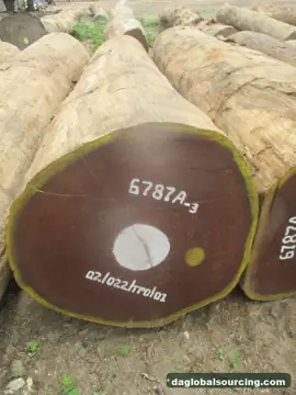 Aformosia from Congo — real goods photo 5