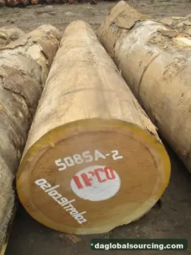 Wanted: Bilinga Logs From Central African Republic - Monthly