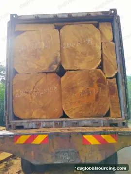 Wanted: Bilinga Squared Wood From Congo - Monthly