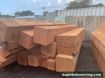 Wanted: Darina Logs From Guyana - Monthly