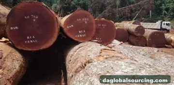 Wanted: Sapelli (Sapele) Logs From Cameroon - Monthly