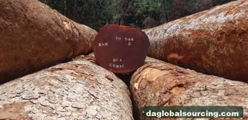 Wanted: Sapelli (Sapele) Logs From Central African Republic - Monthly