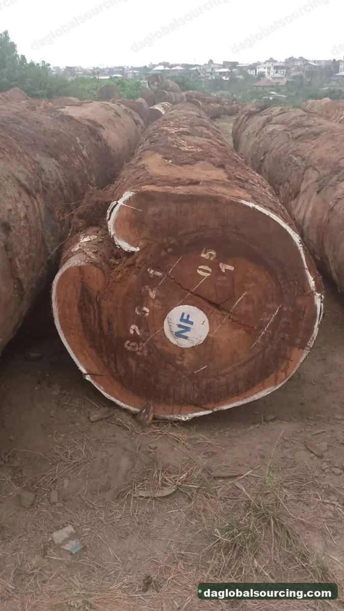 Tali (Ironwood) logs from Central African Republic — goods a Vietnam buyer wants