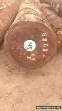 Wanted: Tali (Ironwood) Logs From Congo - Monthly