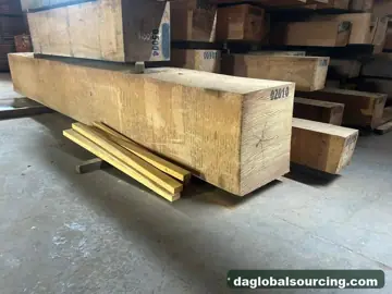 Wanted: Tali (Ironwood) Squared Wood From Congo - Monthly