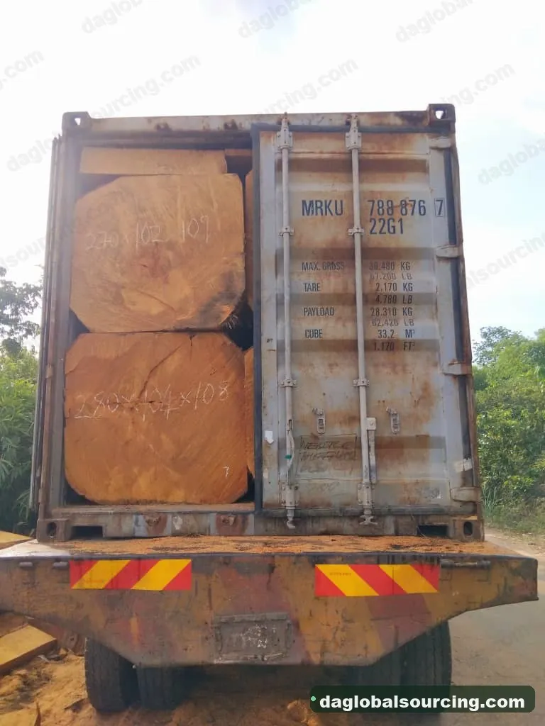 Bilinga squared from Cameroon — goods a Vietnam buyer wants