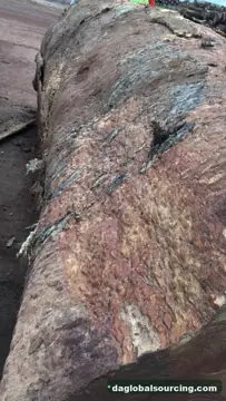 We Buy Bosse Logs From Central African Republic Every Month
