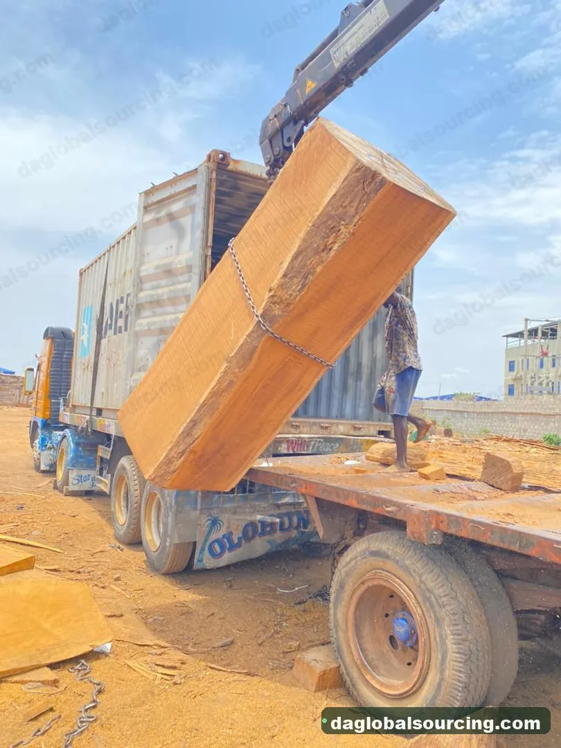 Iroko logs from Cameroon — goods a Vietnam buyer wants