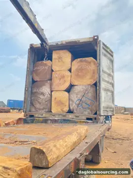 Iroko from Congo — real goods photo 2