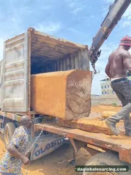 We Buy Iroko Logs From Nigeria Every Month