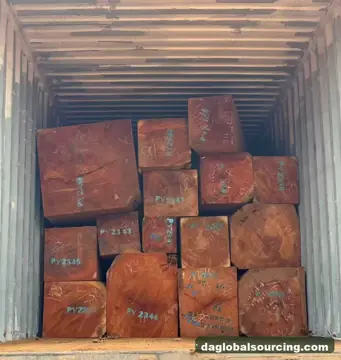 We Buy Pachyloba (Afzelia) Squared Wood From Cameroon Every Month