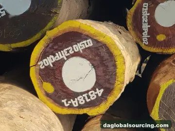 We Buy Padouk Logs From Congo Every Month