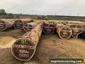 We Buy Padouk Squared Wood From Cameroon Every Month