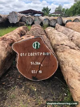 We Buy Tali (Ironwood) Logs From Central African Republic Every Month