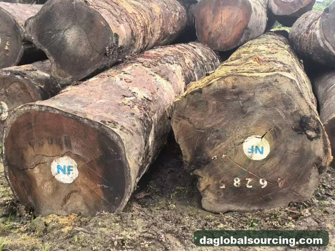 Tali (Ironwood) logs from Congo — goods a Vietnam buyer wants