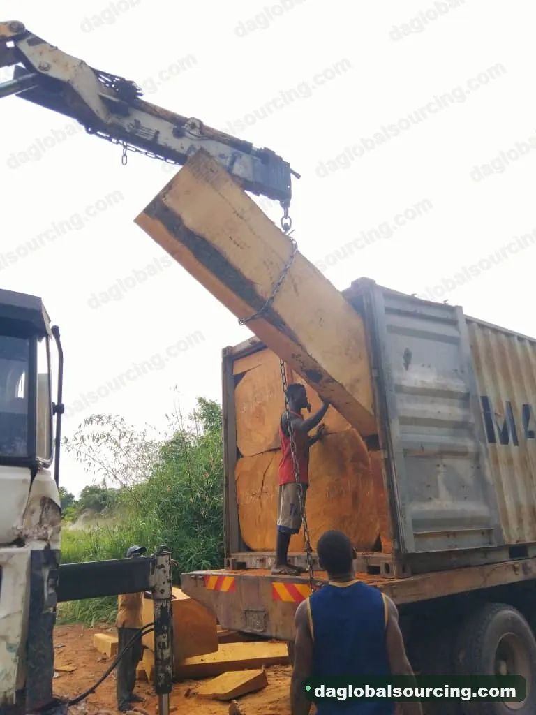 Bilinga squared from Congo — goods a Vietnam buyer wants