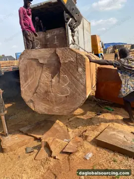 Iroko from Cameroon — real goods photo 2