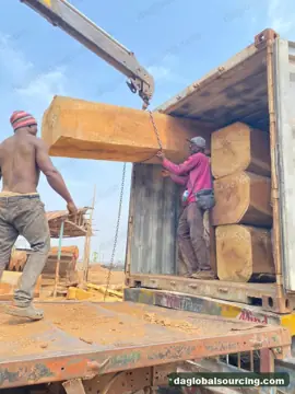 Iroko from Congo — real goods photo 2
